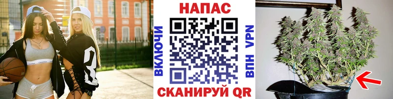 Продажа наркотиков Сковородино МАРИХУАНА  мега как войти  СОЛЬ  ГАШИШ  Экстази  АМФ  Мефедрон  Псилоцибиновые грибы 