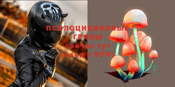 apvp Белокуриха